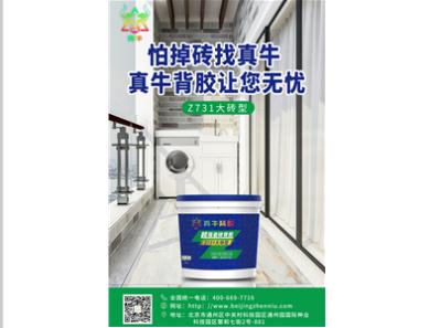 专题海报