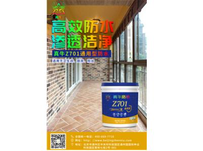 专题海报